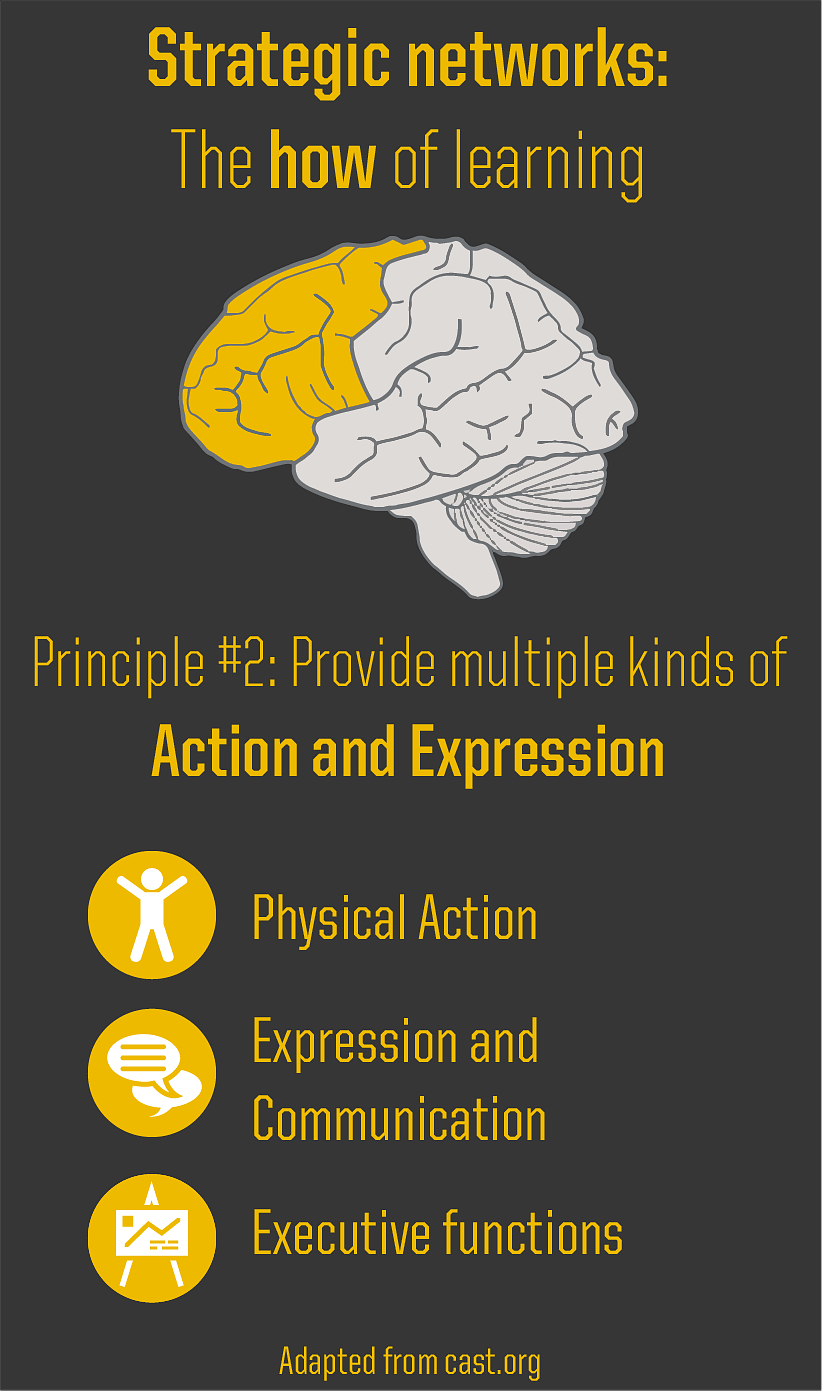 Strategic networks: the how of learning Provide multiple kinds of action and expression